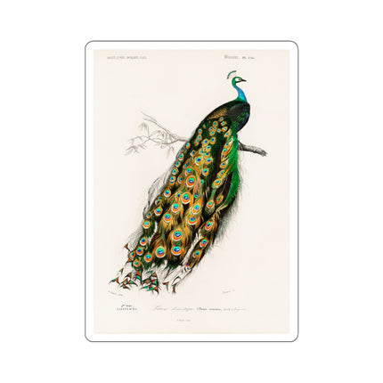 Indian Peafowl by Charles Dessalines D' Orbigny Kiss-Cut Stickers (4 Sizes)