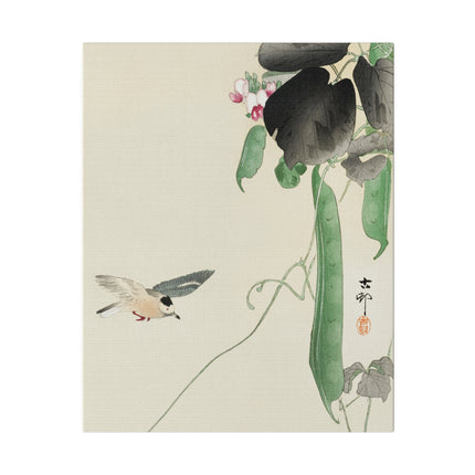 Bird at Flowering Bean Plant by Ohara Koson – Art of Nature