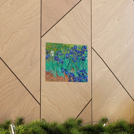 Irises by Vincent Van Gogh Matte Horizontal Posters