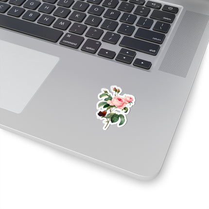Cabbage Rose botanical illustration by Pierre-Joseph Redouté Kiss-Cut Stickers (4 Sizes)