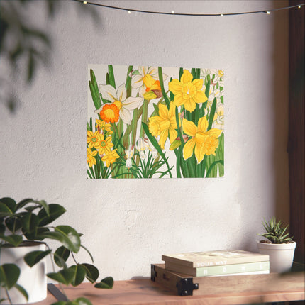 Daffodil by Tanigami Kônan Premium Matte horizontal posters