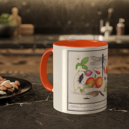 Natural History Ensemble, No. 7 by Anselmus Boëtius de Boodt Colorful Mugs, 11oz