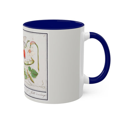 Natural History Ensemble, No. 7 by Anselmus Boëtius de Boodt Colorful Mugs, 11oz