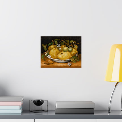 Still Life with Bowl of Citrons by Giovanna Garzoni Matte Horizontal Posters