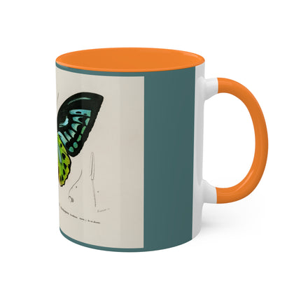 Green Birdwing by Charles Dessalines D' Orbigny Colorful Mugs, 11oz