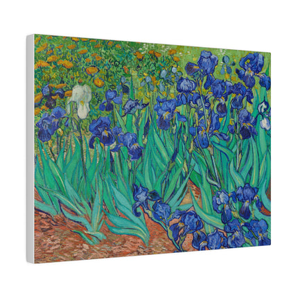 Irises by Vincent Van Gogh Matte Canvas, Stretched, 0.75"