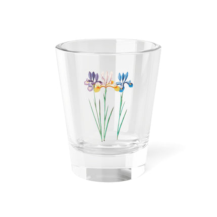 Iris, Iris sibirica by Anselmus Boëtius de Boodt Shot Glass, 1.5oz