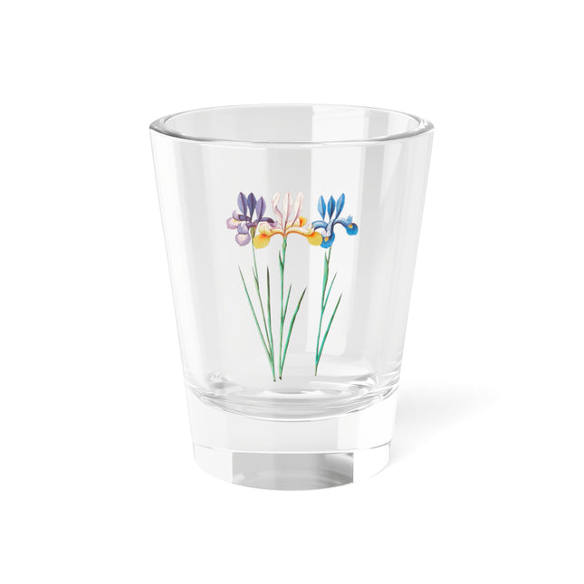 Iris, Iris sibirica by Anselmus Boëtius de Boodt Shot Glass, 1.5oz