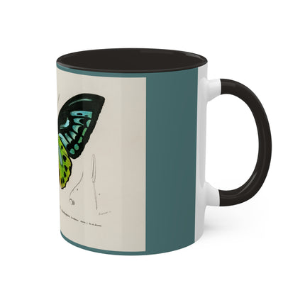 Green Birdwing by Charles Dessalines D' Orbigny Colorful Mugs, 11oz