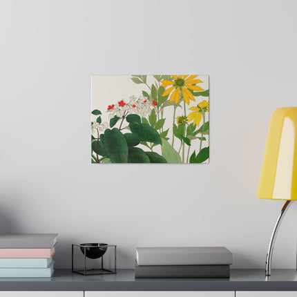 Clerodendrum and Rudbeckia by Tanigami Kônan – Japanese Botanical Harmony