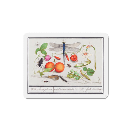 Natural History Ensemble, No. 7 Die-Cut Magnets (5 Sizes)