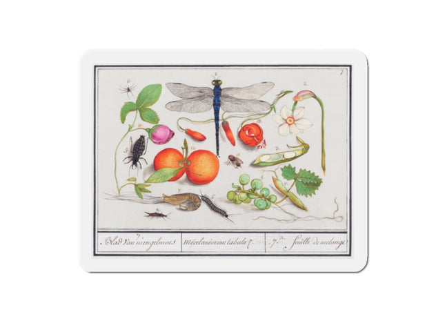 Natural History Ensemble, No. 7 Die-Cut Magnets (5 Sizes)