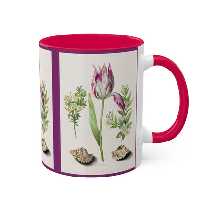 Tulip, Branches of Myrtle and Shells by Maria Sibylla Merian Colorful Mugs, 11oz