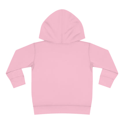 Fluffy Explorers Toddler Pullover Fleece Hoodie