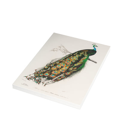 Indian Peafowl by Charles Dessalines D'Orbigny Postcards (envelopes included) - Bundles of 10, 30, 50 Pieces