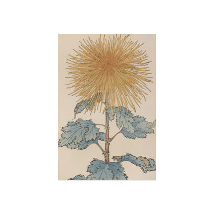 Chrysanthemum Harmony Fine Art Poster