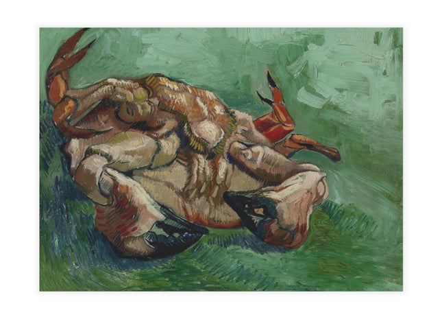 Crab on its Back by Vincent Van Gogh Postcards (envelopes included) - Bundles of 10, 30, 50 Pieces