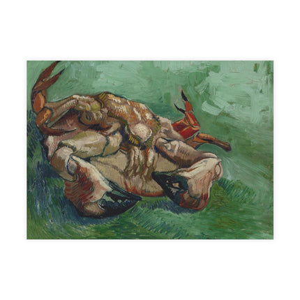 Crab on its Back by Vincent Van Gogh Postcards (envelopes included) - Bundles of 10, 30, 50 Pieces