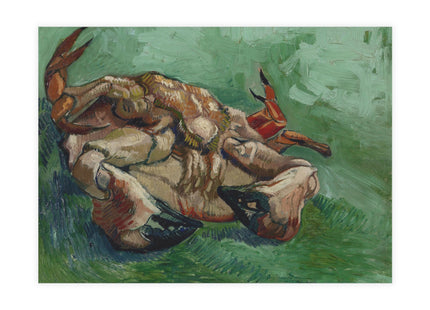 Crab on its Back by Vincent Van Gogh Postcards (envelopes included) - Bundles of 10, 30, 50 Pieces