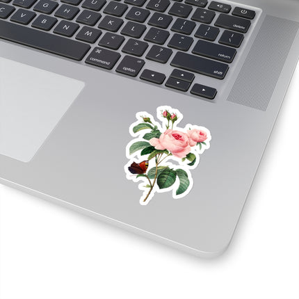 Cabbage Rose botanical illustration by Pierre-Joseph Redouté Kiss-Cut Stickers (4 Sizes)