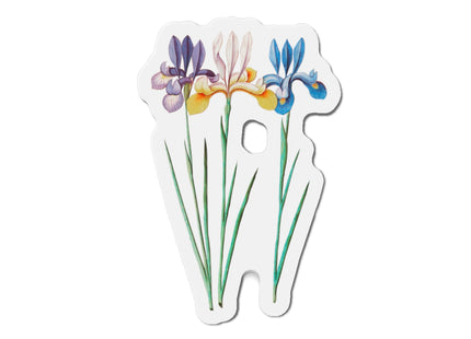 Iris, Iris sibirica by Anselmus Boëtius de Boodt Die-Cut Magnets (5 Sizes)