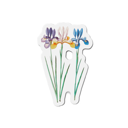 Iris, Iris sibirica by Anselmus Boëtius de Boodt Die-Cut Magnets (5 Sizes)