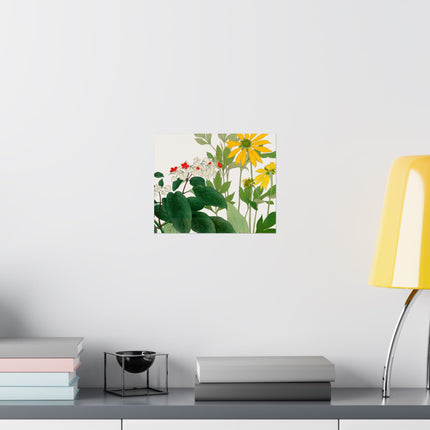 Clerodendrum & Rudbeckia by Tanigami Kônan Premium Matte Horizontal Posters