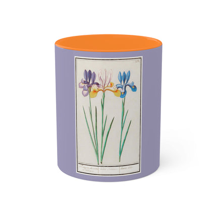Iris, Iris sibirica by Anselmus Boëtius de Boodt Colorful Mugs, 11oz