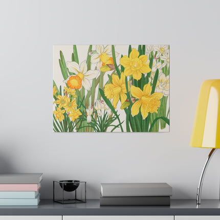 Golden Daffodils by Tanigami Kônan – Japanese Botanical Grace