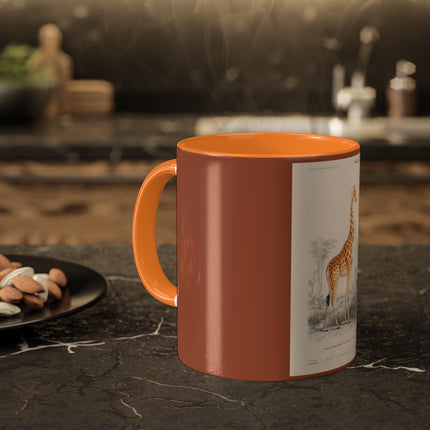 Giraffe by Charles Dessalines D' Orbigny Colorful Mugs, 11oz