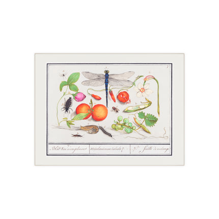 Natural History Ensemble, No. 7 Ceramic Tile