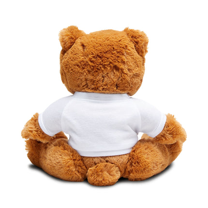 Red Sled & Curious Cats Teddy Bear with T-Shirt