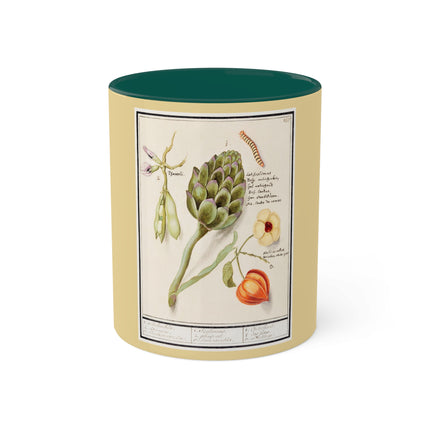 Artichoke, Broad Beans, and Lantern Plant by Anselmus Boëtius de Boodt Colorful Mugs, 11oz