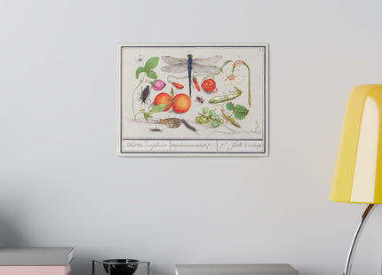 Natural History Ensemble, No. 7 by Anselmus Boëtius de Boodt Matte Matte Canvas, Stretched, 0.75"