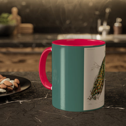 Indian Peafowl by Charles Dessalines D' Orbigny Colorful Mugs, 11oz