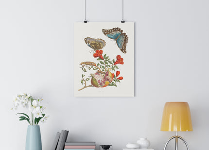 Blue Butterflies and Pomegranate Giclée Art Print