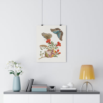 Blue Butterflies and Pomegranate Giclée Art Print