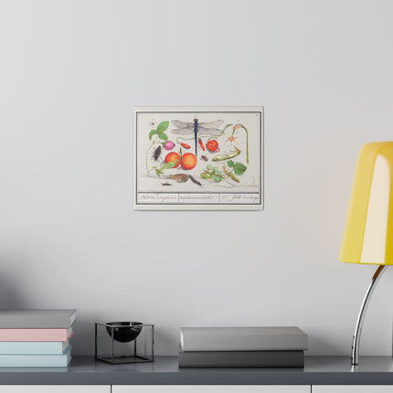 Natural History Ensemble, No. 7 by Anselmus Boëtius de Boodt Matte Horizontal Posters
