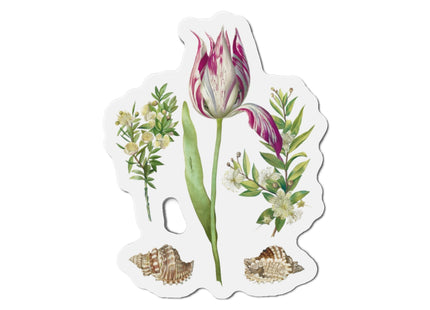 Tulip, Branches of Myrtle, and Shells by Maria Sibylla Merian Die-Cut Magnets (5 Sizes)
