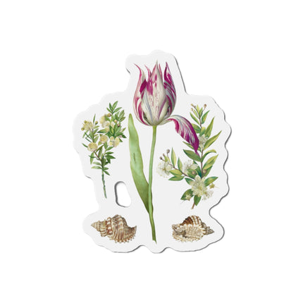 Tulip, Branches of Myrtle, and Shells by Maria Sibylla Merian Die-Cut Magnets (5 Sizes)