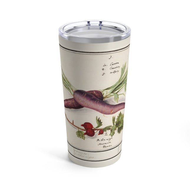 Carrot, Daucus carota and red currant, Ribes rubrum by Anselmus Boëtius de Boodt Tumbler 20oz