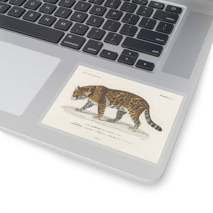 Jaguar by Charles Dessalines D' Orbigny Kiss-Cut Stickers (4 Sizes)