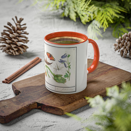 Natural History Ensemble, No. 17 by Anselmus Boëtius de Boodt Colorful Mugs, 11oz