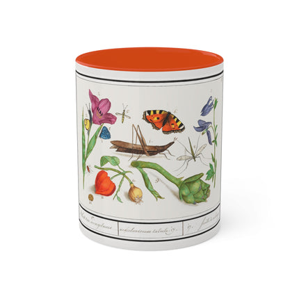 Natural History Ensemble, No. 17 by Anselmus Boëtius de Boodt Colorful Mugs, 11oz