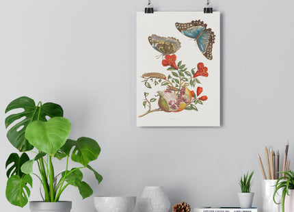 Blue Butterflies and Pomegranate Giclée Art Print