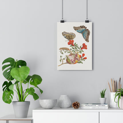Blue Butterflies and Pomegranate Giclée Art Print