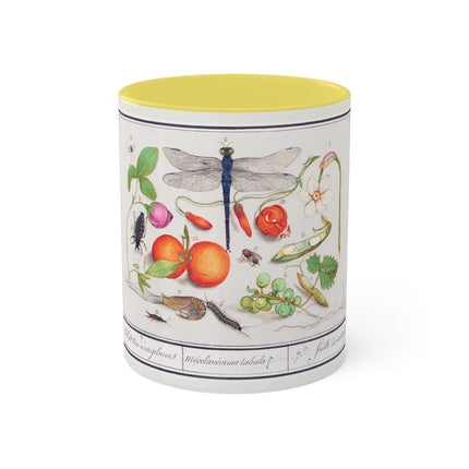 Natural History Ensemble, No. 7 by Anselmus Boëtius de Boodt Colorful Mugs, 11oz