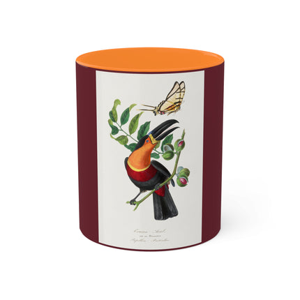Channel Billed Toucan by Paul Gervais Colorful Mugs, 11oz