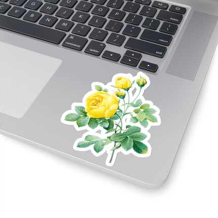 Yellow Rose Botanical Illustration by Pierre-Joseph Redouté Kiss-Cut Stickers (4 Sizes)
