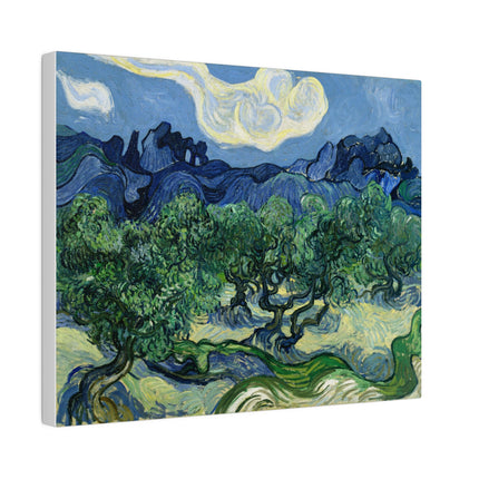 Olive Trees by Vincent Van Gogh Matte Canvas, Stretched, 0.75"